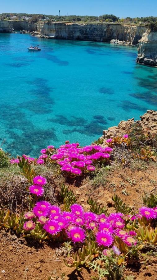Casa Vacanze Afea Torre Dell'Orso Salento Puglia Zewnętrze zdjęcie